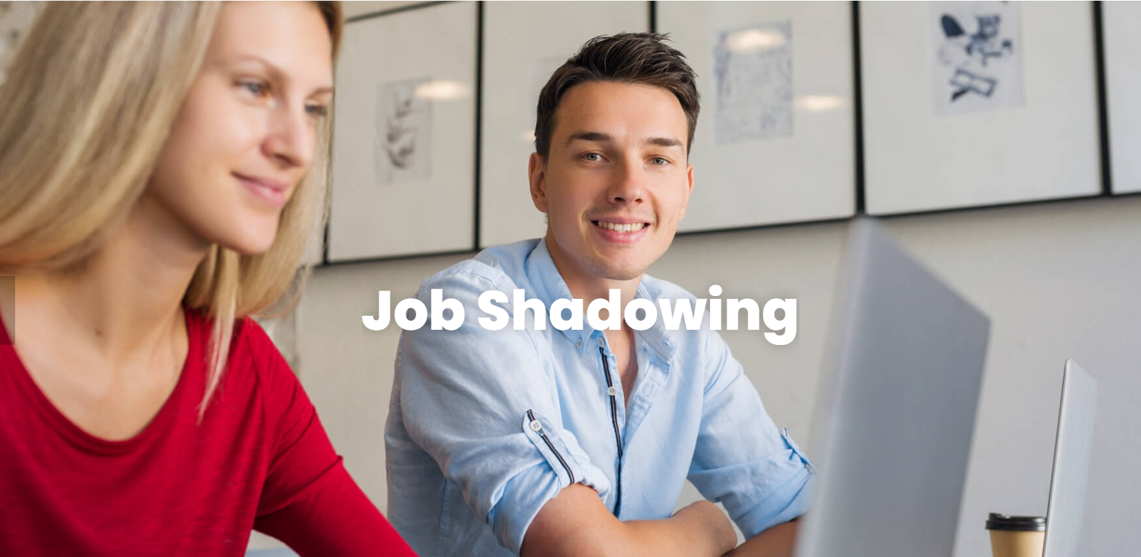 Educational program overview and statistics